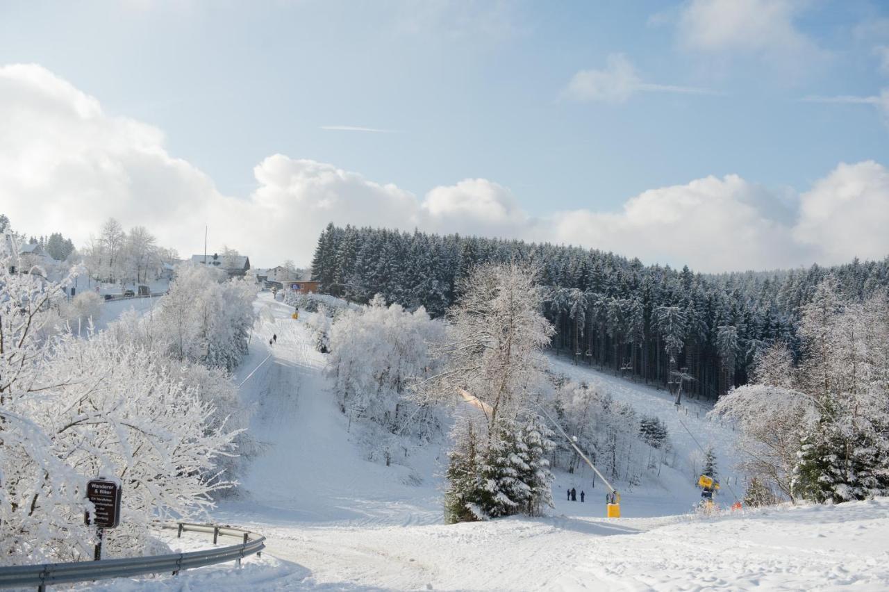 Wittgensteiner Landhaus Winterberg Exterior foto
